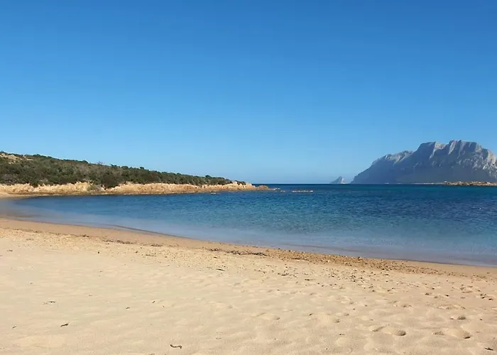 아파트 Tabula 올비아